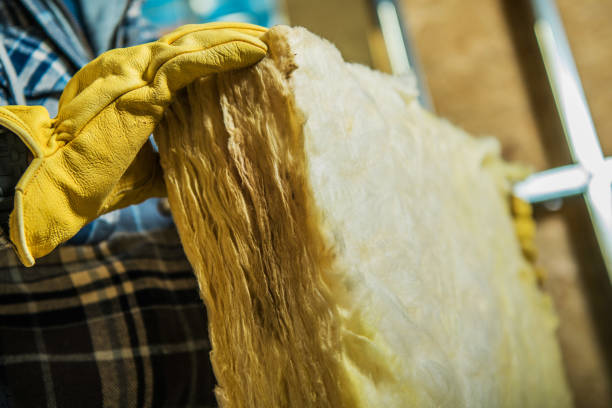 Best Insulation Removal Services  in Suffern, NY
